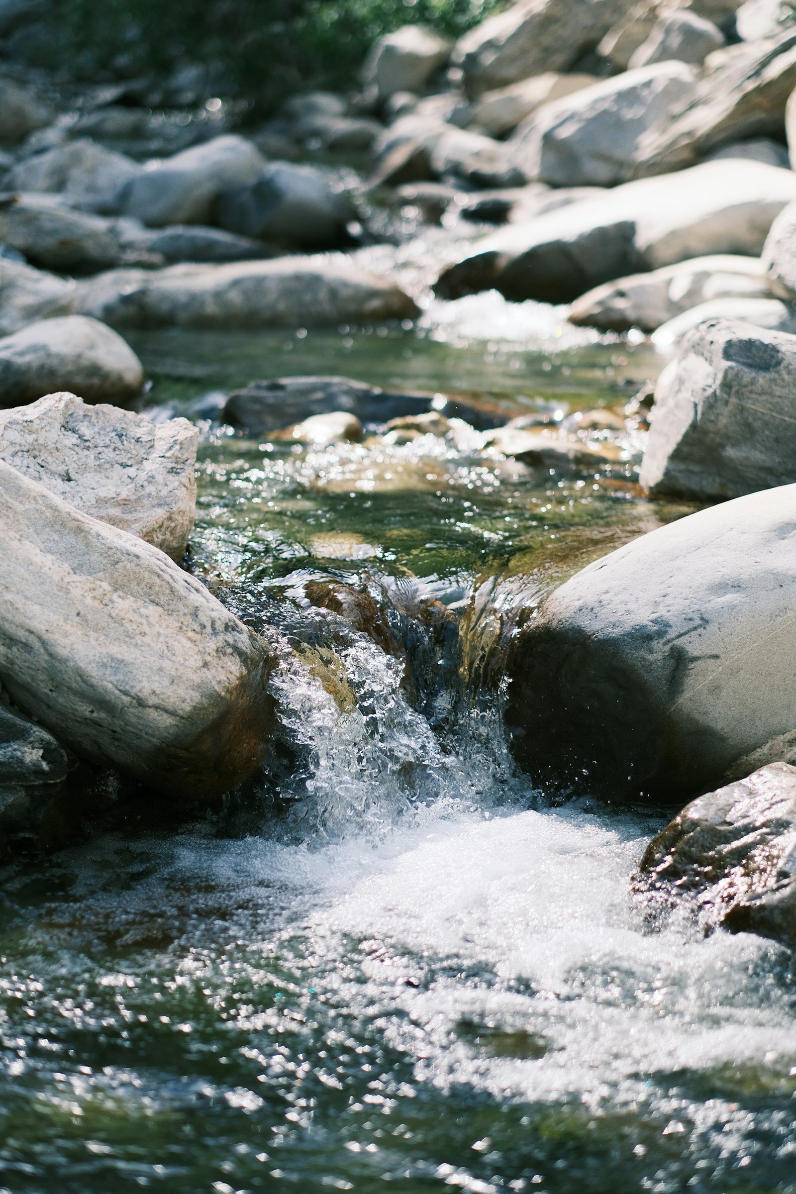 Sunlight on a stream flowing over smooth stones